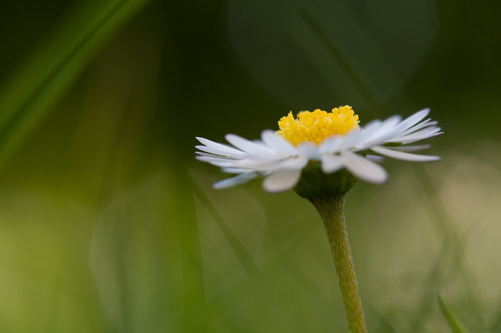 20100605-Juni-026.jpg