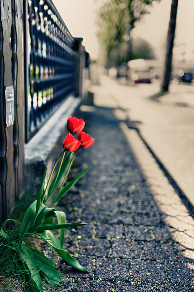 20110418-April-080-HDR.jpg