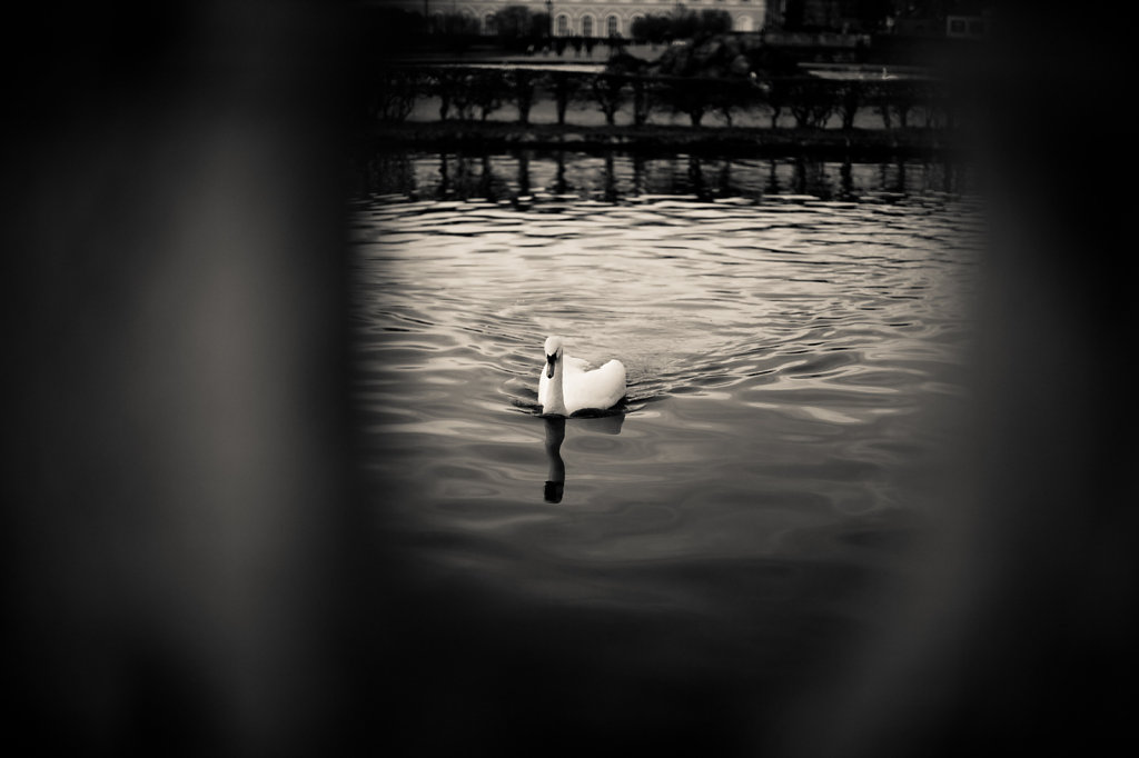 20111226-Dezember-064.jpg